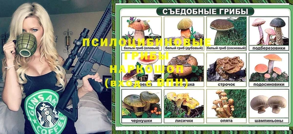 МДПВ Армянск
