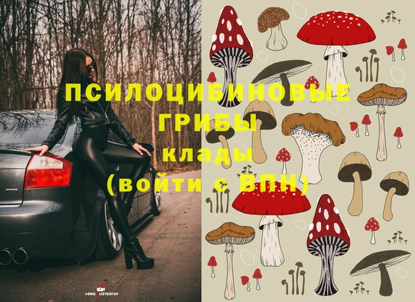 МДПВ Армянск