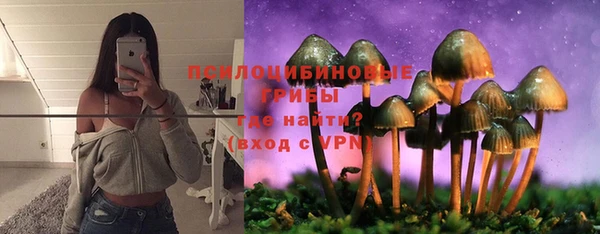 мдпв Арсеньев