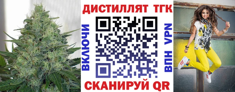 МЕГА ссылки  купить наркотики цена  Чадан  Дистиллят ТГК Wax 