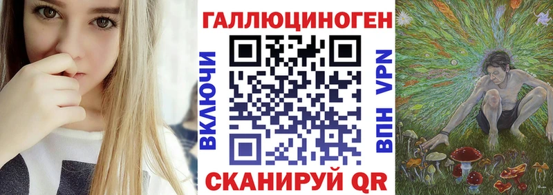 Галлюциногенные грибы Psilocybine cubensis  KRAKEN вход  Чадан 